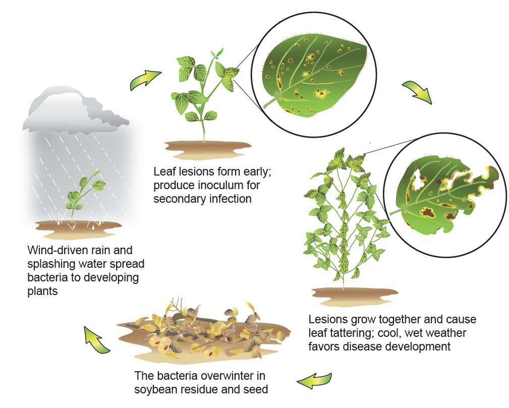 Crop Protection Network