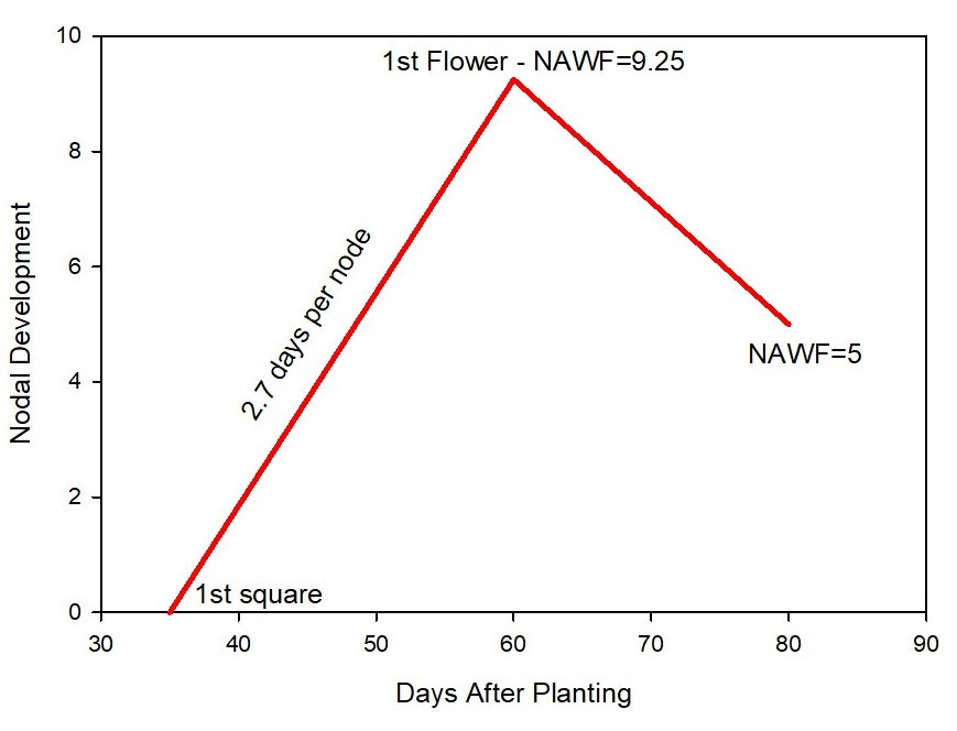Evaluating Upland Cotton Maturity Patterns in the Northern Texas High Plains