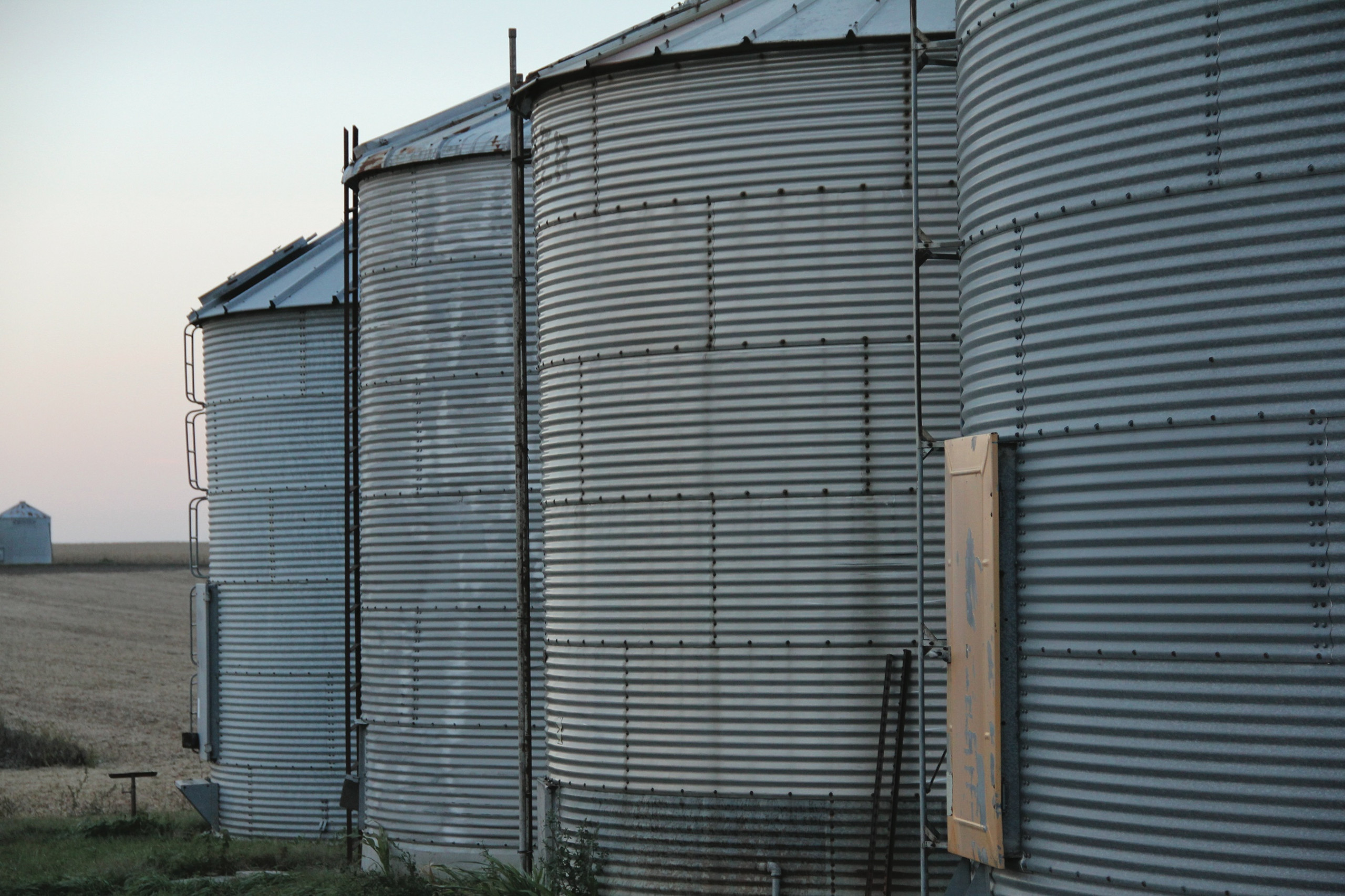 Storing Mycotoxin-Affected Corn Grain