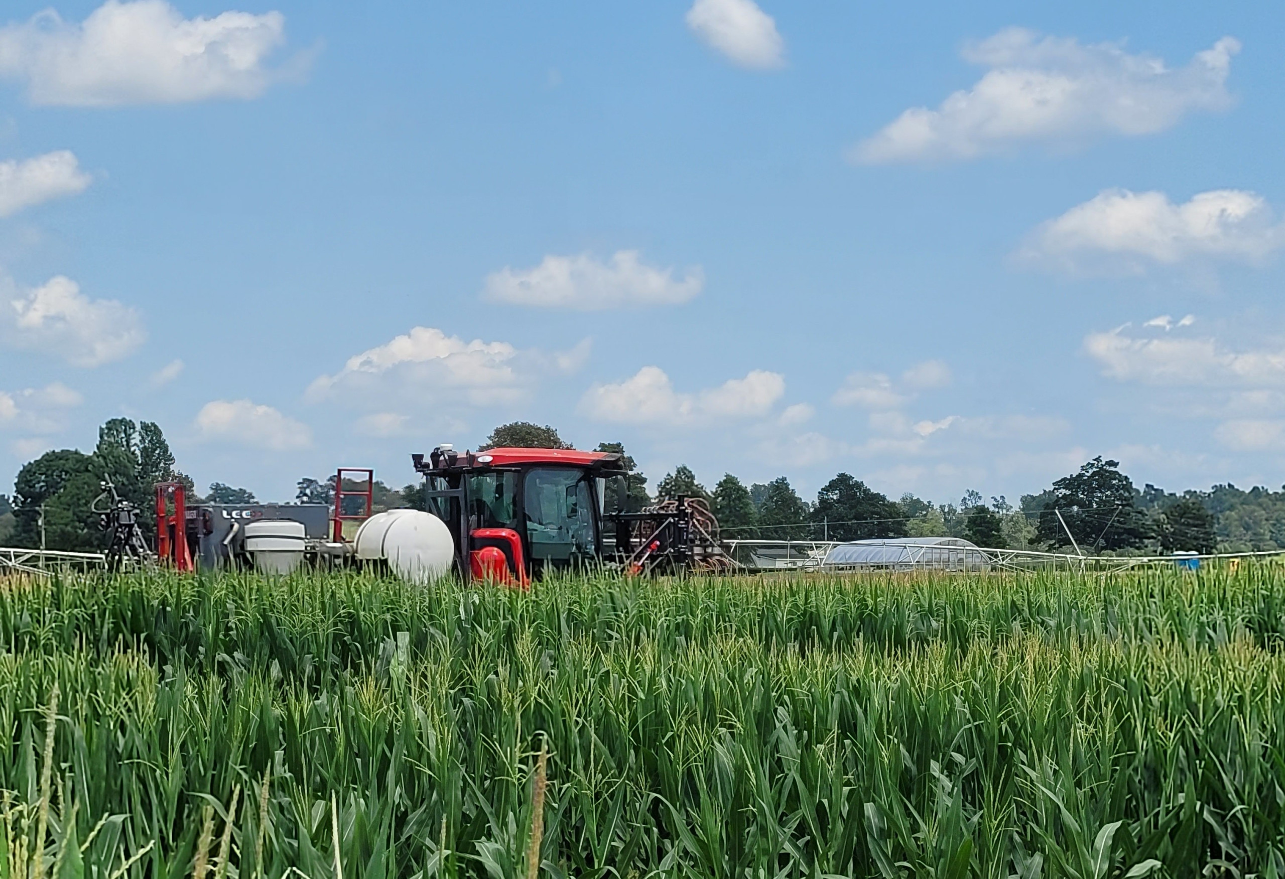 Factors to Consider When Choosing a Generic Fungicide for Field Crop Disease Management