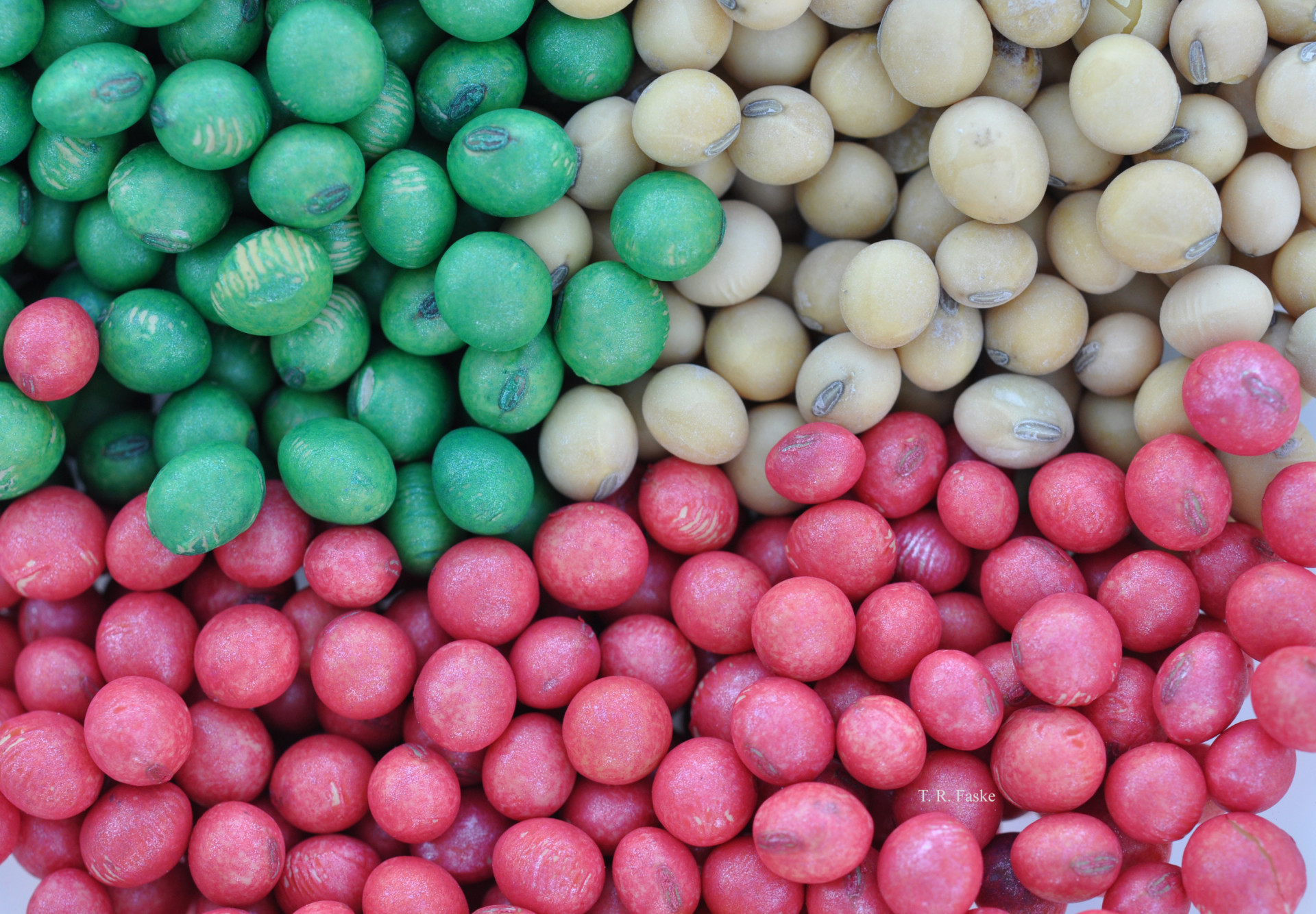 How seed-applied nematicides work