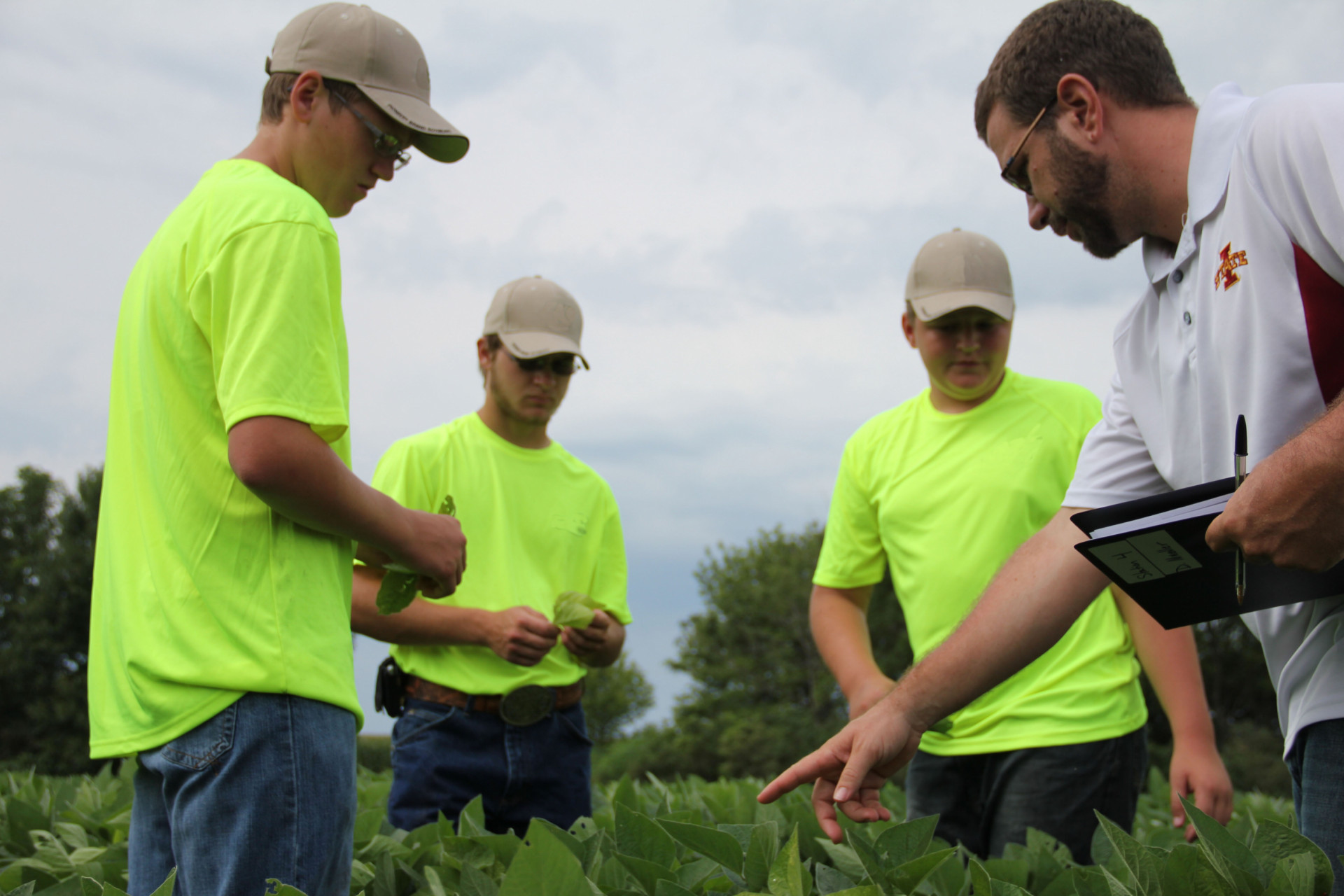 Fungicides are More Than a Plant Disease Management Tool