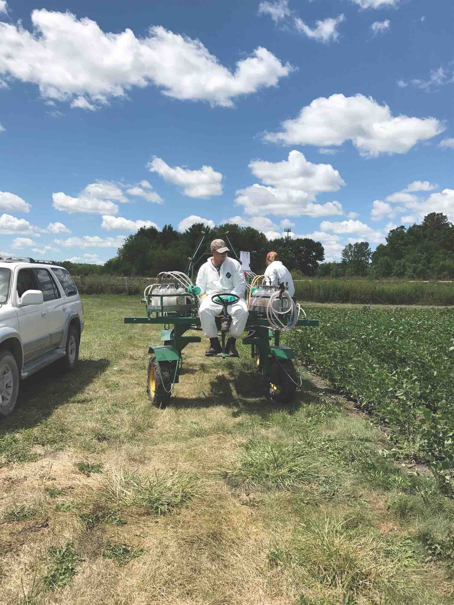 Pesticide Impact on White Mold (Sclerotinia Stem Rot) and Soybean Yield (Archived)