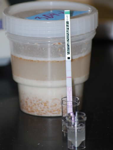 Grain and Silage Sampling and Mycotoxin Testing (Archived)