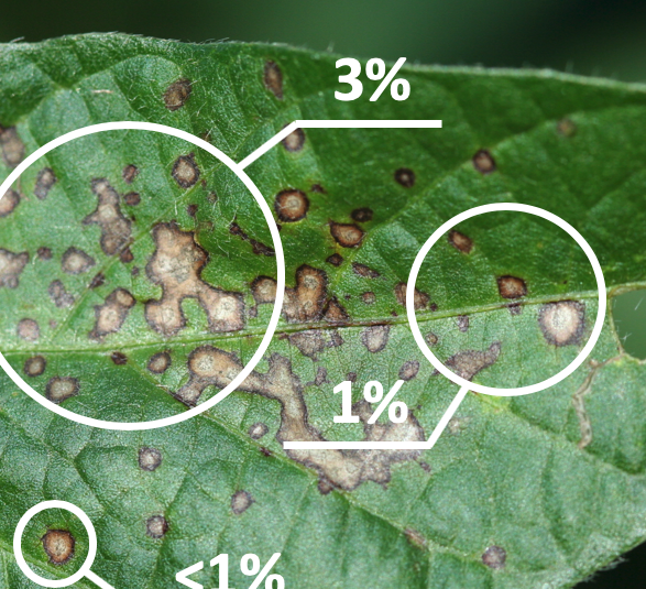 Severity Estimation Tool Landing