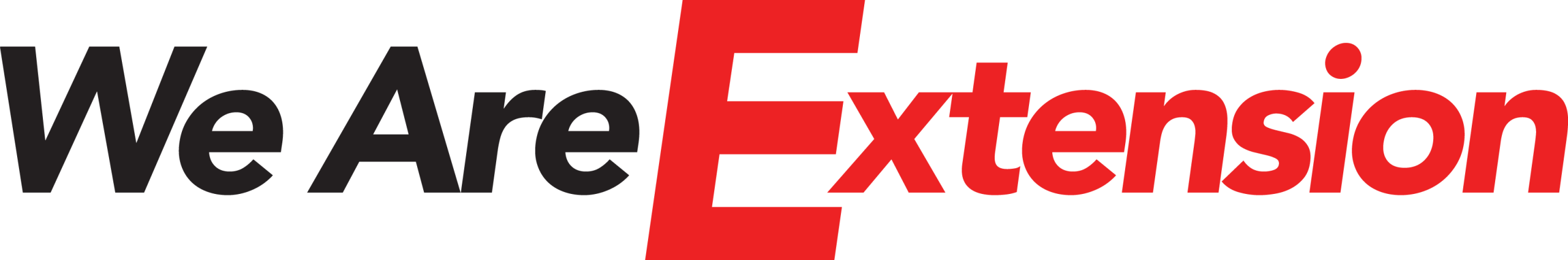 We are extension logo with the words We Are Extension.